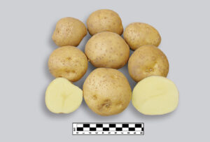 CIP300048.12